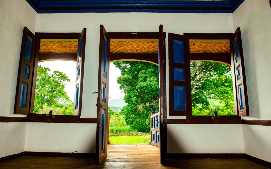 Embrace the Open Window