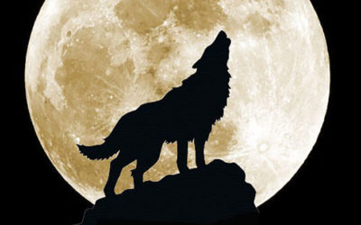 Howling at the Wolf Moon