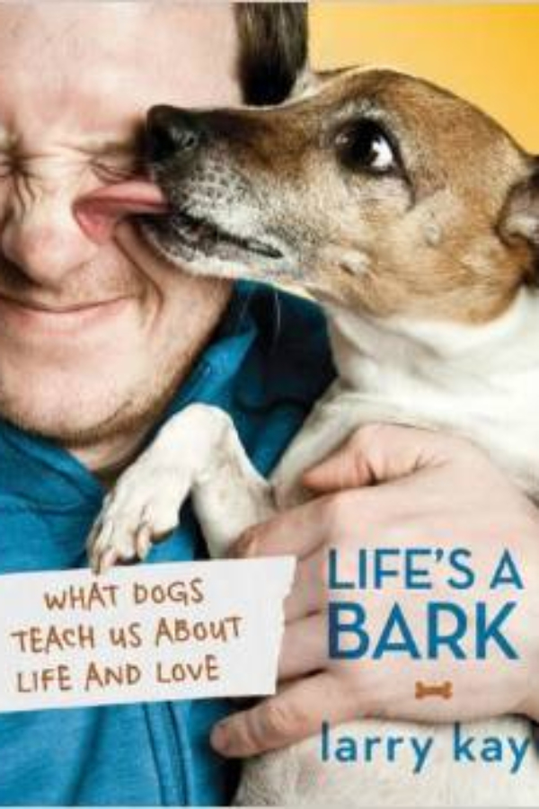 ec32dd2f04c98ac9943caa38089cad9f