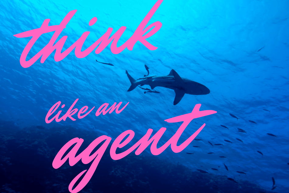 sharks swimming in the ocean