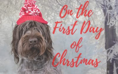 On the First Day of Christmas…